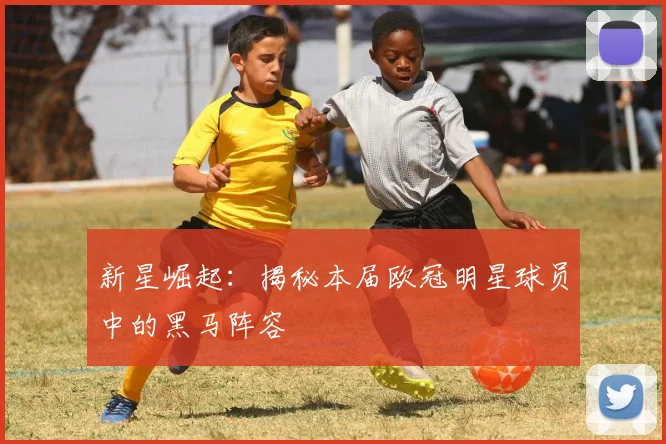 新星崛起：揭秘本届欧冠明星球员中的黑马阵容