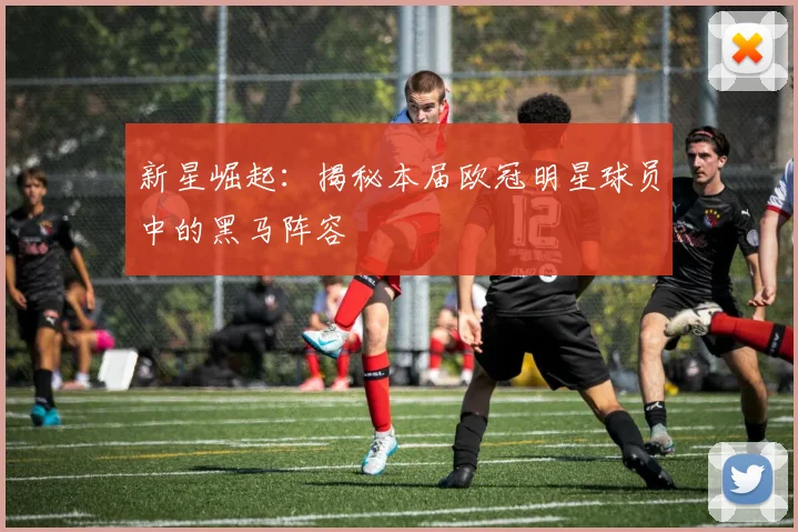 新星崛起：揭秘本届欧冠明星球员中的黑马阵容