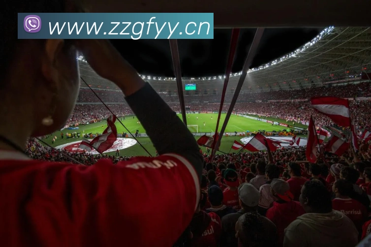 App Interface Preview